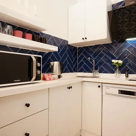 Spacious 2br W Ac Lift In Taksim - Kurabiye D2 公寓 伊斯坦布尔